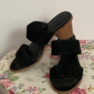 Joie Black Sandal with Wooden Block Heel